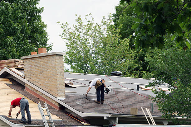 Best Roof Gutter Cleaning  in Merrifield, VA