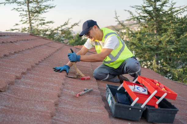 Best Roof Replacement Cost  in Merrifield, VA
