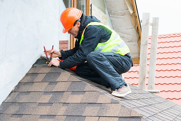 Roof Gutter Cleaning in Merrifield, VA
